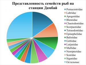 Исследования кафедры ихтиологии во Вьетнаме в 2024 году.