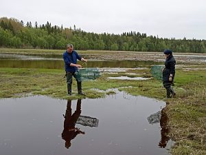 Ежегодная учебно-производственная практика студентов кафедры ихтиологии 3 курса на Беломорской биостанции МГУ