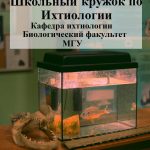 Школьный ихтиологический кружок для учеников 5 – 8 классов