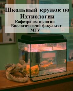 Школьный ихтиологический кружок для учеников 5 – 8 классов