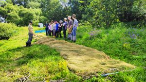 Летняя практика студентов 1 курса  Биологического факультета МГУ на Звенигородской биостанции имени С.Н. Скадовского (ЗБС)