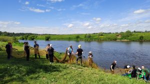 Летняя практика студентов 1 курса  Биологического факультета МГУ на Звенигородской биостанции имени С.Н. Скадовского (ЗБС)