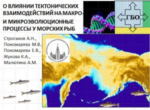 13-й съезд Гидробиологического общества (ГБО)