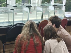 Полевые ихтиологические практики студентов