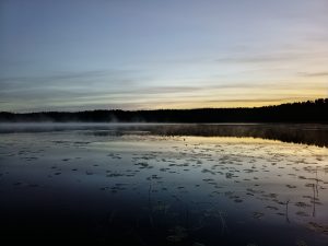Очередная ихтиологическая экспедиция на Себежскую биостанцию