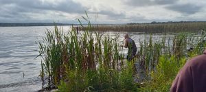 Очередная ихтиологическая экспедиция на Себежскую биостанцию