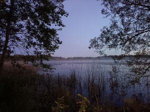 Очередная ихтиологическая экспедиция на Себежскую биостанцию