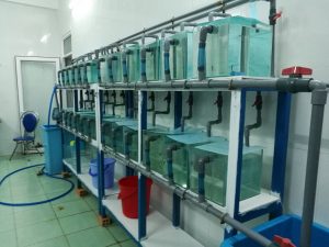 Полевой сезон 2025 года. Вьетнам. Приморское отделение Совместного Российско-Вьетнамского Тропцентра (город Нячанг).