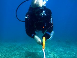 Полевой сезон 2025 года. Вьетнам.