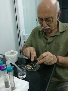 Полевой сезон 2025 года. Вьетнам. Приморское отделение Совместного Российско-Вьетнамского Тропцентра (город Нячанг).