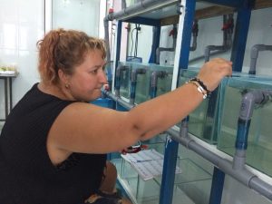 Полевой сезон 2025 года. Вьетнам. Приморское отделение Совместного Российско-Вьетнамского Тропцентра (город Нячанг).