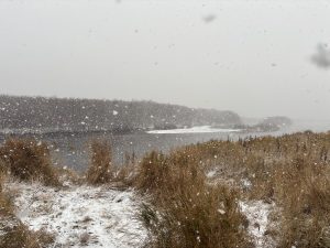 Полевой сезон 2025 года. Камчатка.