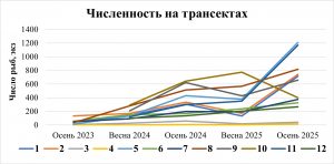 Полевой сезон 2025 года. Вьетнам.
